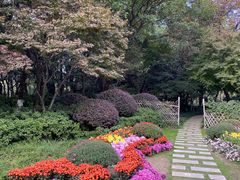 -青枫公园