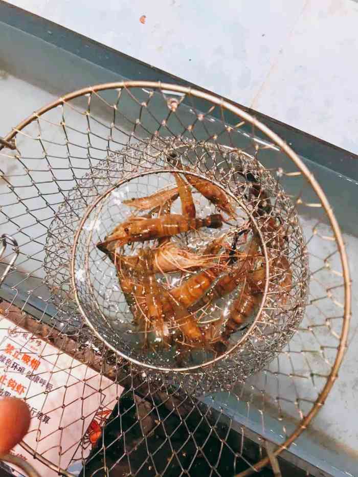 虾哆哆钓虾工厂-"萧亚轩和黄浩都去钓虾08我怎么能不去体.