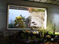 -杭州植物园