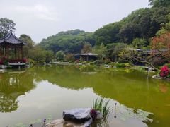 -云溪植物园