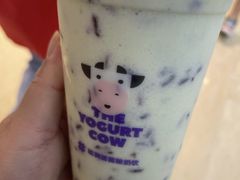 -一只酸奶牛(时代天街A馆店)