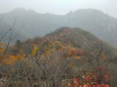 -大岭沟猕猴桃谷风景区