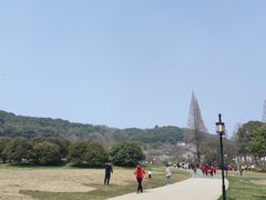-苏州上方山国家森林公园