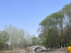 -大兴滨河森林公园