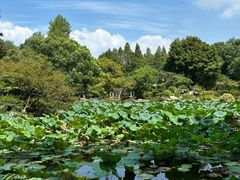 -杭州植物园