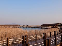 -苏州太湖湖滨国家湿地公园