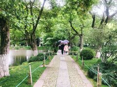 -西湖外事游船(花港观鱼码头)