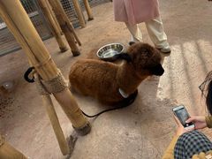 -杭州开元森泊度假乐园