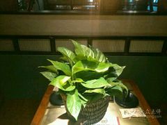 -手选潮汕鲜活牛肉火锅(二七广场店)