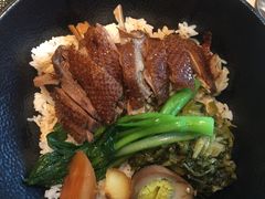 -MR鹅外