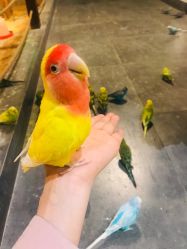 -酷嗒动物文化乐园(cutezoo西溪乐天城店)