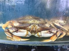 -渔中舟海鲜大排档(普陀沈家门店)
