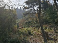 -巢湖姥山岛