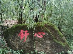 -神龙峡风景区