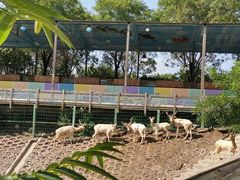 -北京鹿世界主题园