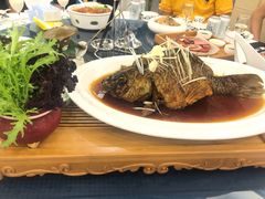 罾蹦鲤鱼-卫鼎轩·曹公馆(鼓楼店)