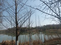 -苏州太湖国家湿地公园