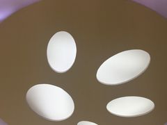 -创凡宠物医院·骨专科  猫科中心(西乡分院)