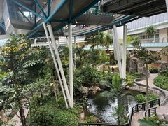 -新加坡摩天观景轮