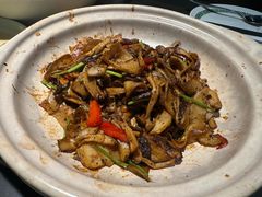 -三强鸽子(中原路店)