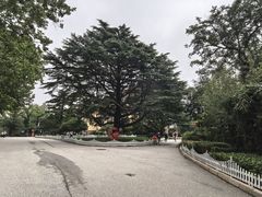 -青岛德国总督楼旧址博物馆