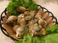 -索菲特酒店·海鲜自助 ·聚餐厅