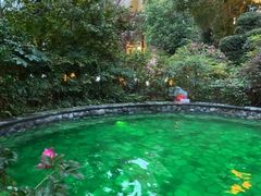 -杭州第一世界大酒店·云曼温泉