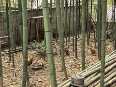 -安吉胖嫂家