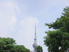 -文华公园(禅城区)