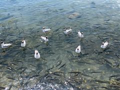 -青海湖二郎剑景区