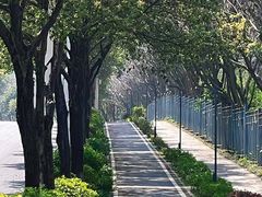 -东莞植物园