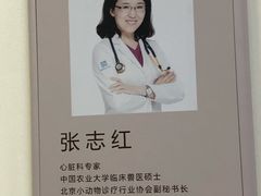 -美联众合动物医院·24h转诊中心