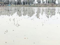 -漩门湾国家湿地公园