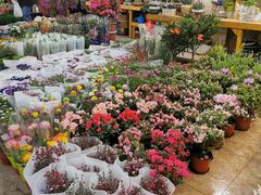-双季花艺园艺市场(浦东店)