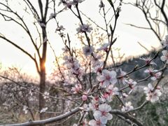 -鬼笑石后山停车场