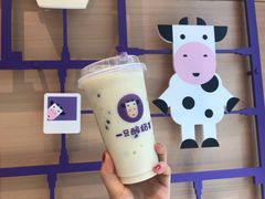 -一只酸奶牛(东方广场店)