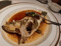 红玫瑰-东富酒家(龙湖西溪天街店)
