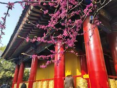 -西安市广仁寺
