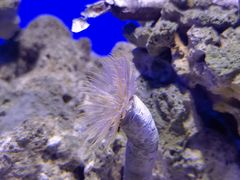 -青岛海底世界-水族馆