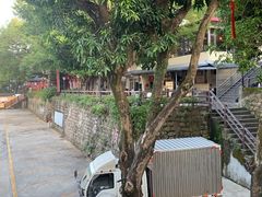 -横琴蚝苑·地道农家菜