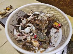 -王潮活海鲜自助·蒸汽海鲜