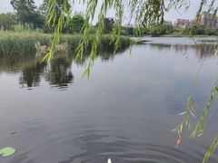 -武汉园博园(武汉自然博物馆)