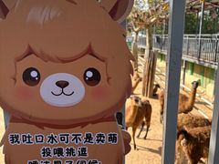 -西霞口神雕山野生动物世界