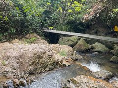 -东莞市大岭山森林公园