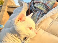 -瑞鹏宠物医院·宠保定点·心脏科·内科(御桥分院)