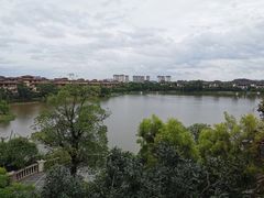 -美的鹭湖森林度假区