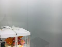 -艾加柒克蛋糕茶歇甜品台(春熙路店)