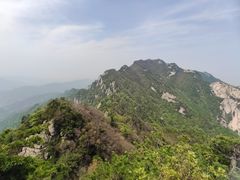 -王顺山国家森林公园