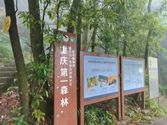 -缙云山景区