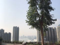 -狐尾山公园